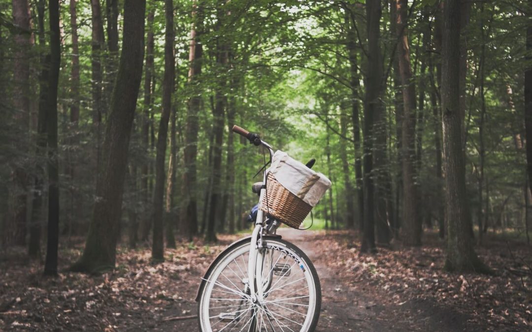 Activités : Vélo dans la région